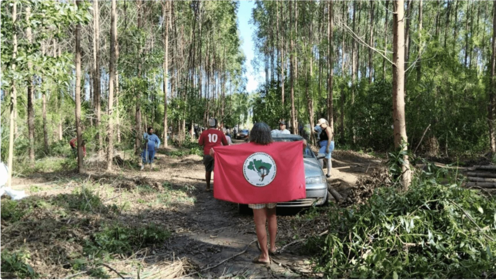 MST invade proproedade da Suzano em em Aracruz, no Espírito Santo.