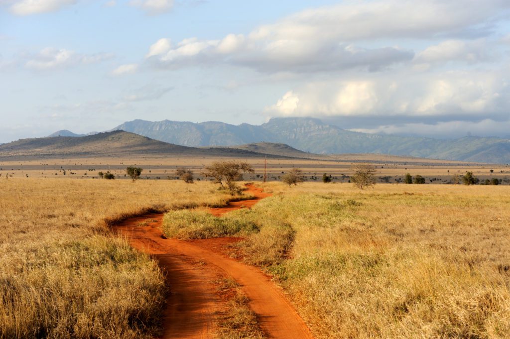 Caminho de terra vermelho serpenteia por savana dourada, com montanhas e céu nublado.