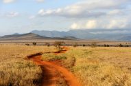 Caminho de terra vermelho serpenteia por savana dourada, com montanhas e céu nublado.