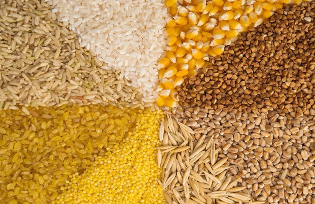 Diversos grãos organizados em círculos, incluindo arroz, milho, trigo sarraceno, trigo, aveia, milheto e bulgur.
