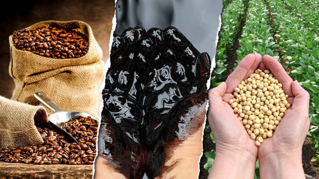 Três painéis: sacos de grãos de café, mãos cobertas de óleo escuro e mãos segurando grãos de soja com campo ao fundo.