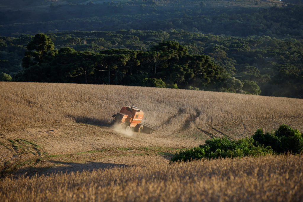 Colheitadeira laranja em vasto campo, colhendo grãos e levantando poeira. Rastros na terra. Floresta ao fundo.