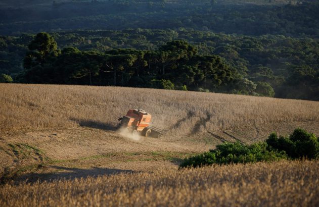 Colheitadeira laranja em vasto campo, colhendo grãos e levantando poeira. Rastros na terra. Floresta ao fundo.