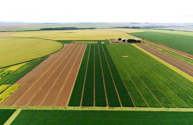 Vista aérea de campos agrícolas com parcelas de teste de diferentes cultivos e um complexo de edifícios.