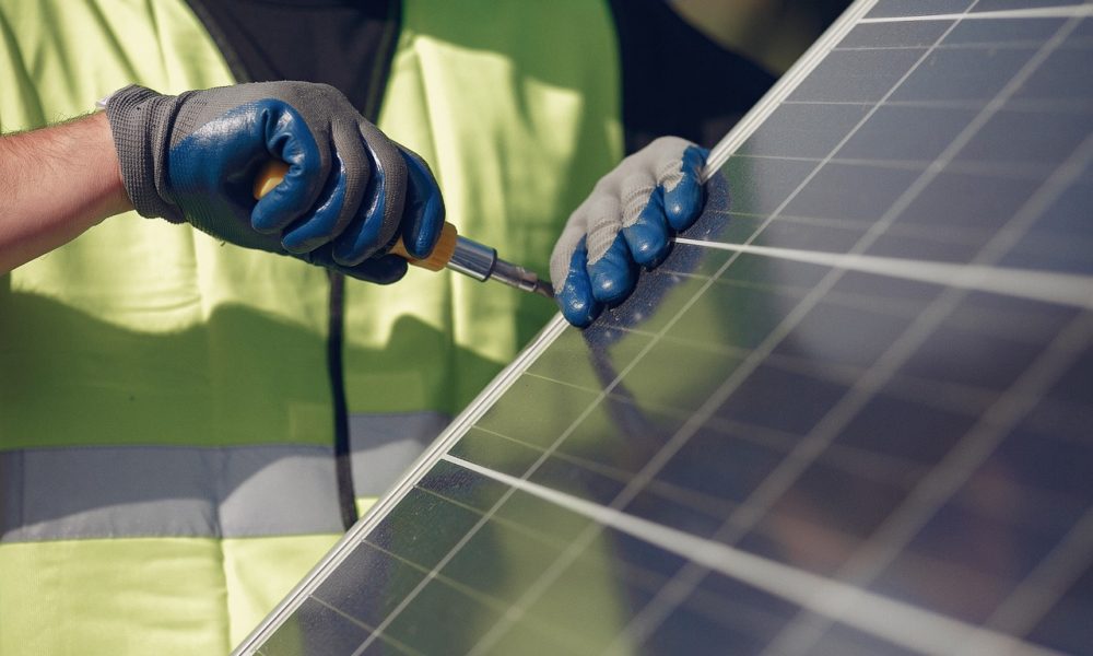 Entre ursos e fazendas solares: a batalha inesperada pela energia limpa