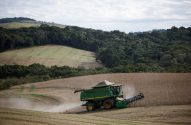 Colheitadeira verde colhendo lavoura dourada em campo inclinado, levantando poeira. Florestas e colinas verdejantes ao fundo.