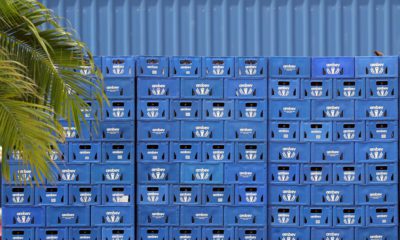 Uma parede de caixas azuis Ambev com garrafas, uma no topo. Fundo azul e folhas de palmeira à esquerda.