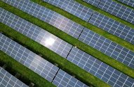 Fileiras de painéis solares em campo de grama verde, com reflexo do sol.