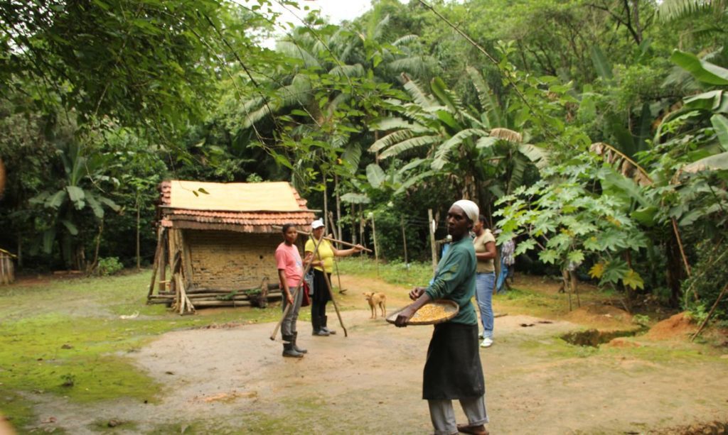 Grupo de pessoas em floresta tropical exuberante com cabana rústica. Um homem à frente segura uma prancheta.