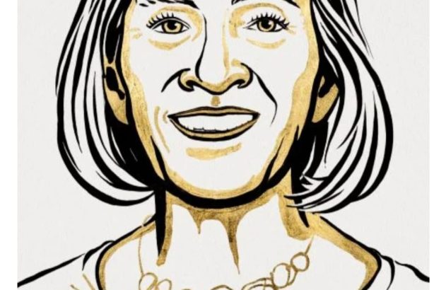 Ilustração de Claudia Goldin sorrindo, com traços pretos e detalhes dourados.