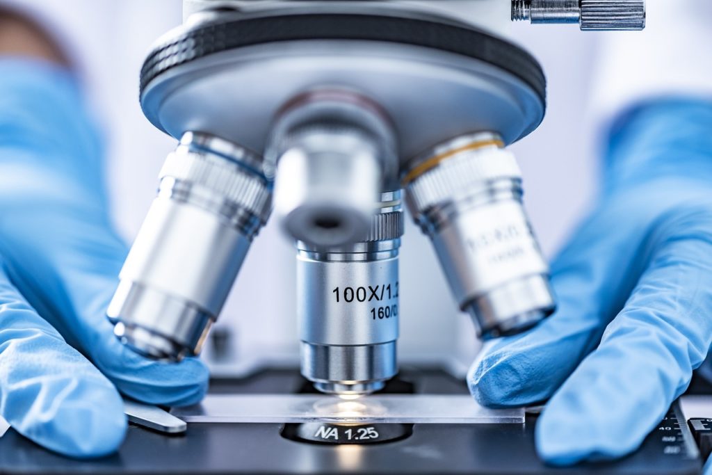 Biotecnologia (Foto: Chokniti Khongchum por Pixabay)