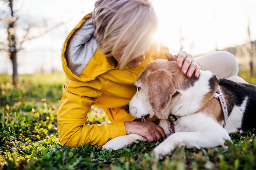 Mulher deitada na grama com cachorro