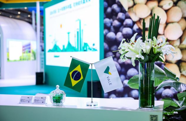 Estande com bandeiras do Brasil e Vale, tela com gráficos e vaso de lírios. Fundo com imagens de alimentos.