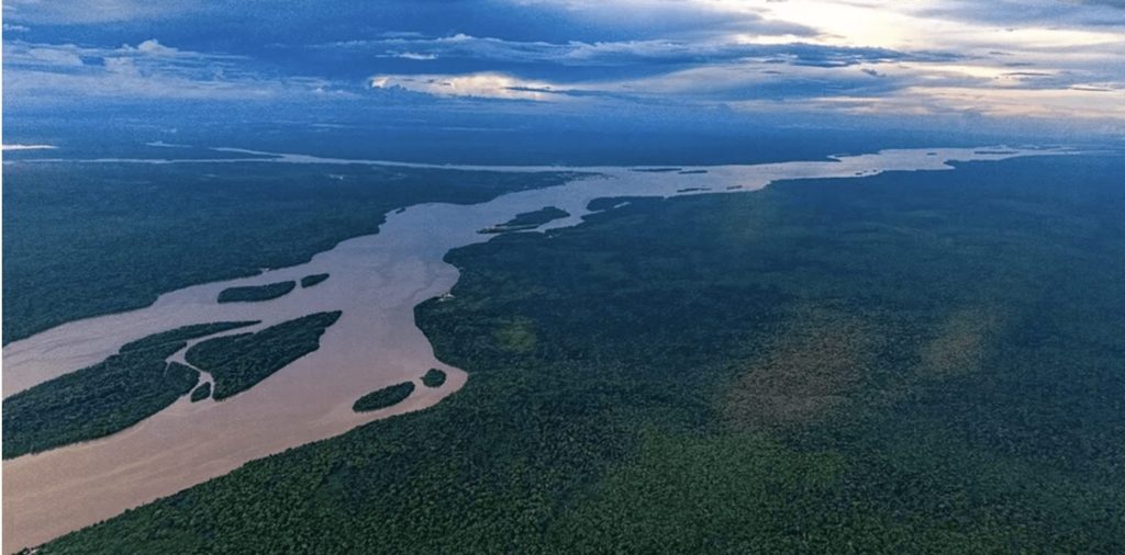 Vista aérea de rios de cores distintas que se encontram, serpenteando por vasta floresta densa.