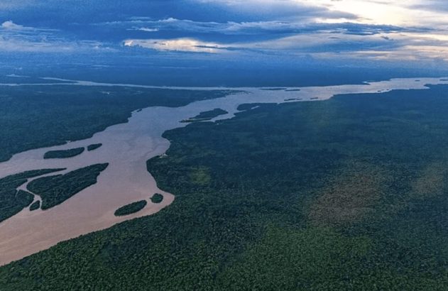 Vista aérea de rios de cores distintas que se encontram, serpenteando por vasta floresta densa.