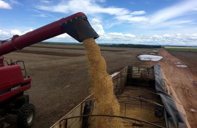Máquina agrícola descarrega grãos em caminhão. Colheita no campo sob céu nublado.