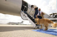 Golden retriever, mulher e piloto embarcam em jatinho particular. Cão sobe escadas em direção ao interior do avião.