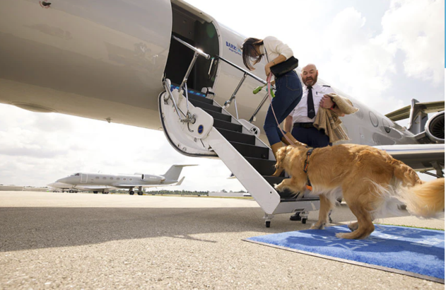 Golden retriever, mulher e piloto embarcam em jatinho particular. Cão sobe escadas em direção ao interior do avião.