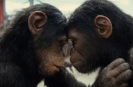 Planeta dos Macacos: o Reinado