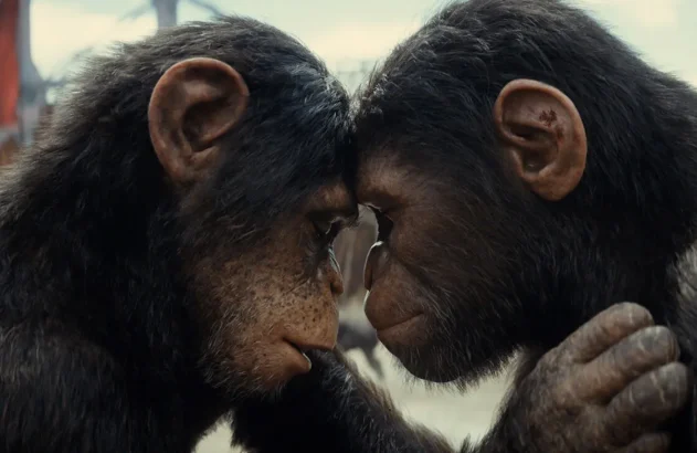 Planeta dos Macacos: o Reinado