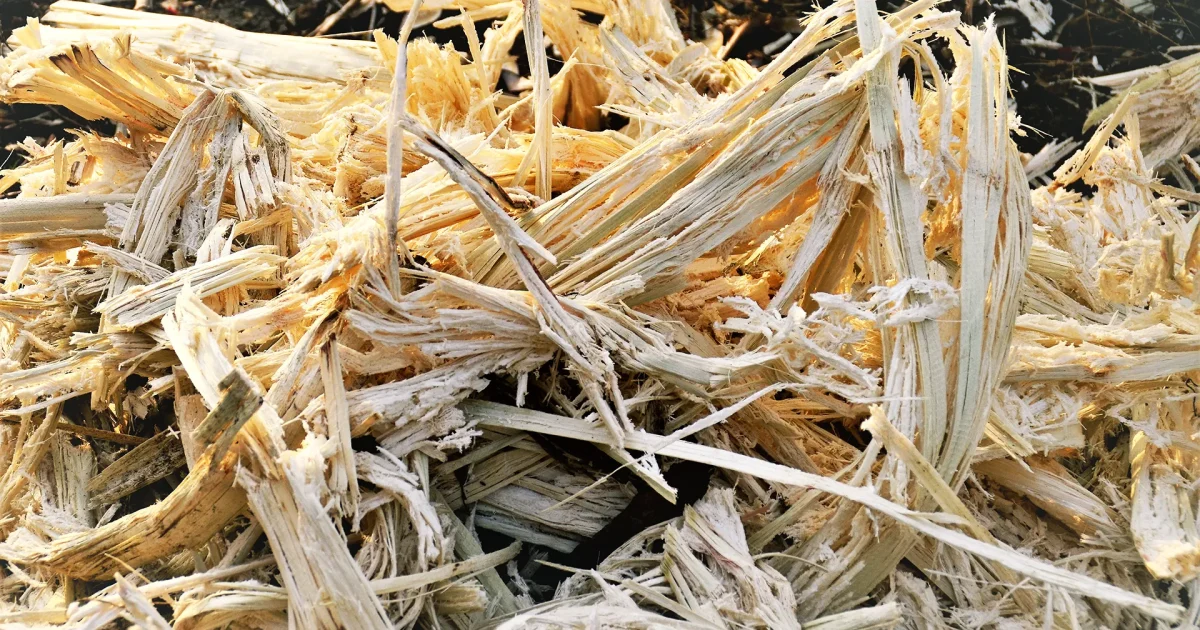 Itaú investe em energia e agro