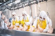 Pessoas trabalhando com controle de qualidade em uma fábrica de frango