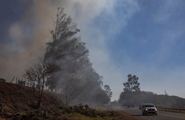 Estrada com veículos sob fumaça densa que encobre árvores à esquerda e céu azul à direita.