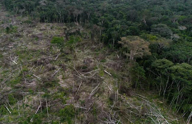 Mata Atlântica