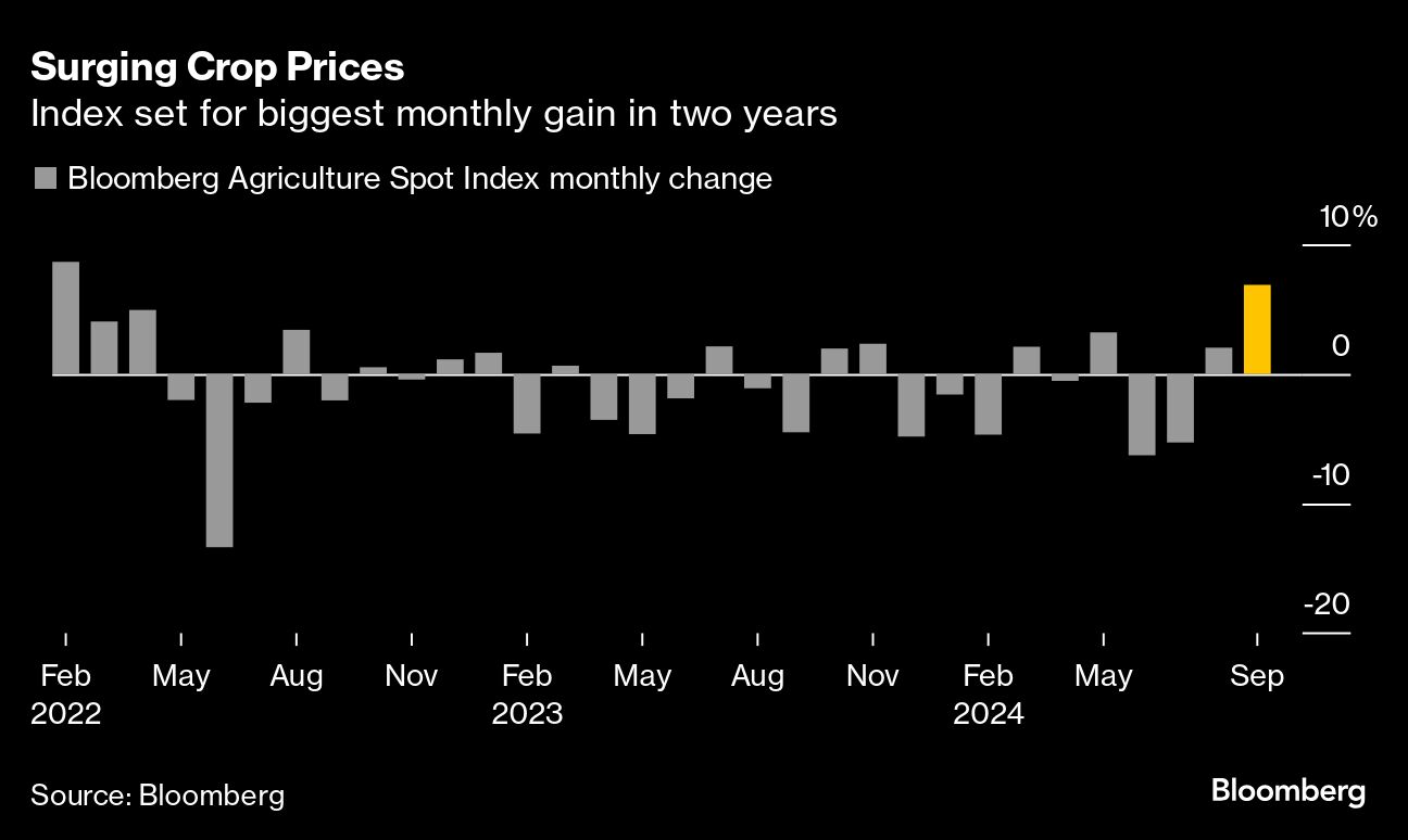 Gráfico de barras: Índice agrícola Bloomberg com maior ganho mensal em 2 anos, visto na barra amarela de setembro.