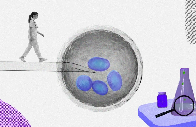 Ilustração mostra um óvulo sendo fertilizado