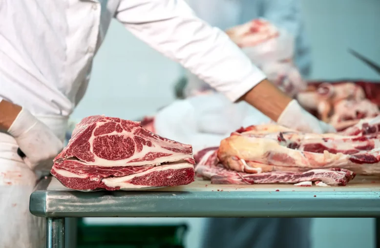 Trabalhador em um frigorífico, vestindo uniforme branco e luvas descartáveis, corta pedaços de carne bovina com uma faca sobre um balcão de aço inoxidável.