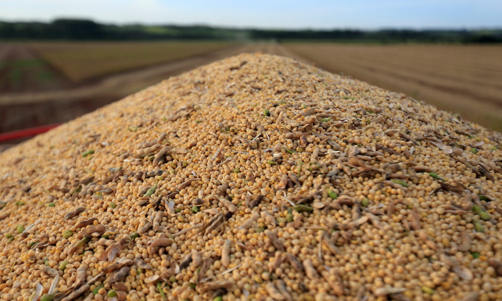 Balcão Agrícola do Brasil, apoiado pela Rumo, entregará soja e milho ainda em 2024