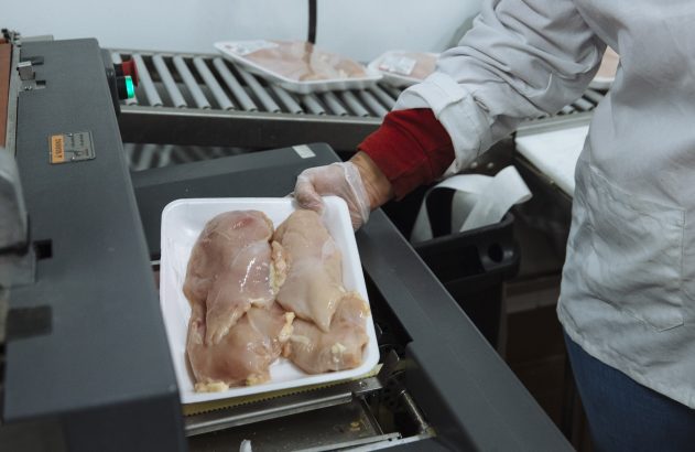 Mão com luva coloca bandeja de peito de frango cru em máquina de embalagem, com outras bandejas na esteira.