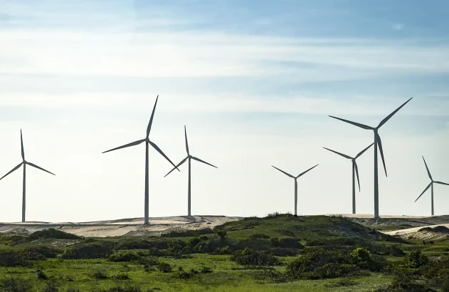 Campo de turbinas eólicas em paisagem costeira com vegetação rasteira e céu parcialmente nublado.