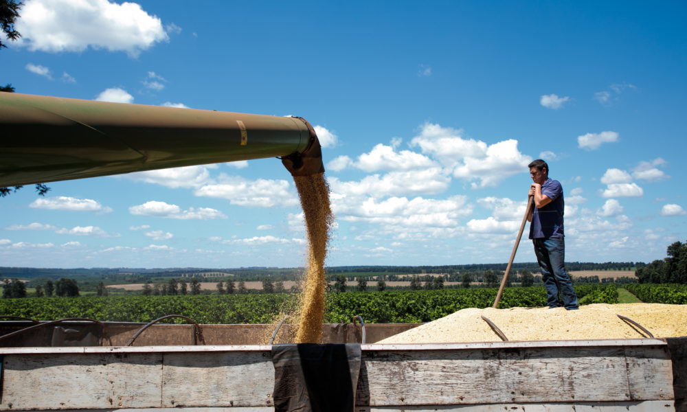 Pedidos de recuperação judicial no agro assustam investidores de Fiagro