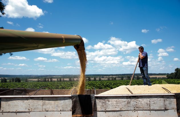 Colheita de soja no interior de São Paulo