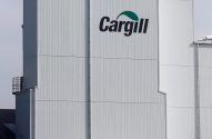 Prédio da Cargill, branco com logo verde, e dois caminhões próximos a uma cerca e gramado em dia claro.