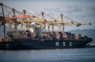 Navio porta-contêineres MSC no porto, com guindastes, muitos contêineres e montanhas ao fundo.