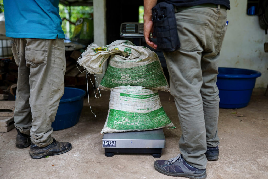 Dois homens pesam um saco verde em balança no chão.