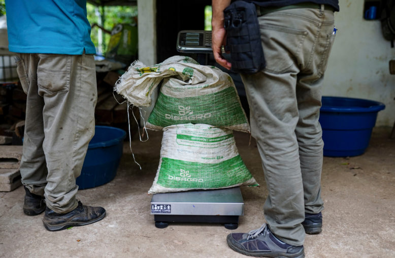 Dois homens pesam um saco verde em balança no chão.