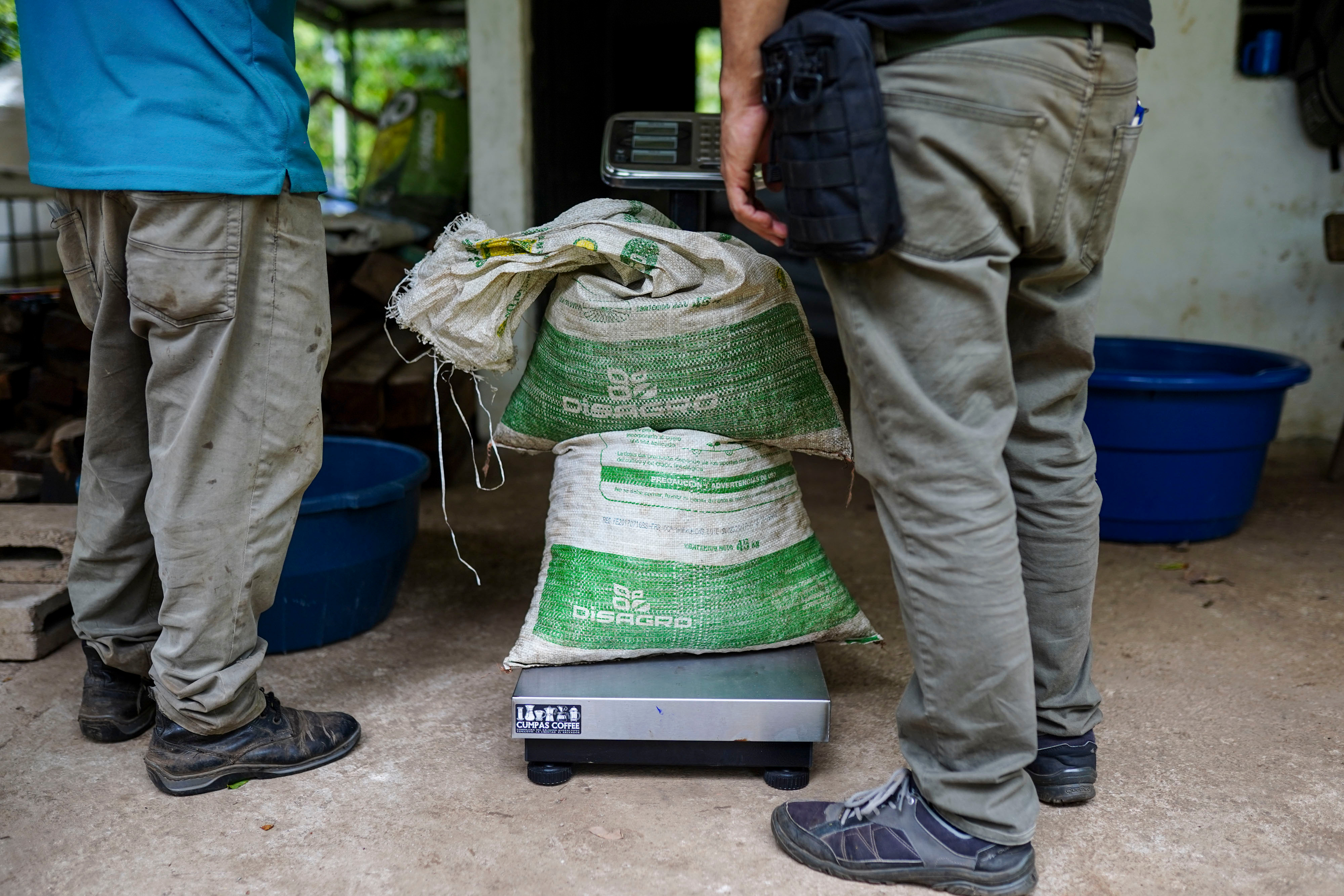 Dois homens pesam um saco verde em balança no chão.