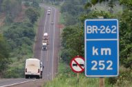 Estrada BR-262 com placa de km 252 e proibido caminhões. Van e caminhões seguem por via ladeada por mata densa.