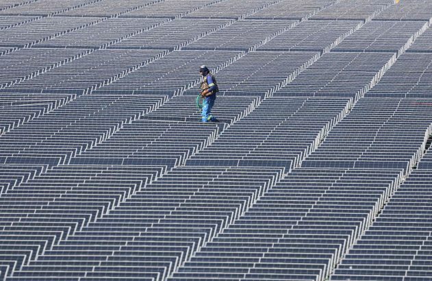 Trabalhador em uniforme azul inspeciona um vasto campo de painéis solares, com um cabo verde.