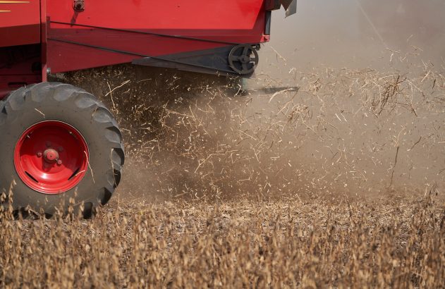 Colheitadeira vermelha em campo seco levanta poeira e palha durante a colheita.