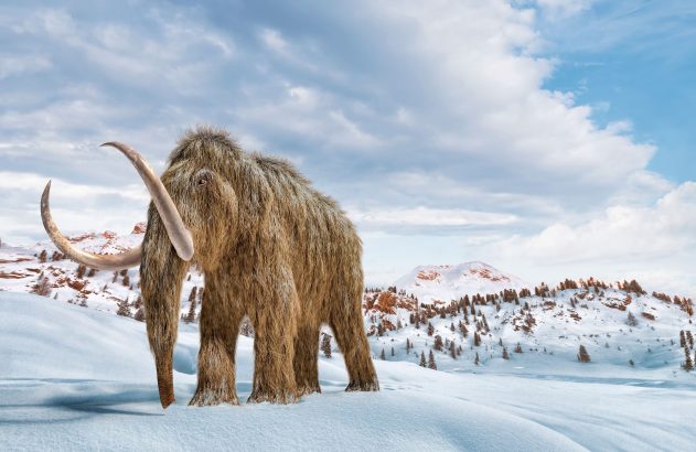 Mamute lanoso com presas em pé na neve, com montanhas e céu nublado ao fundo.