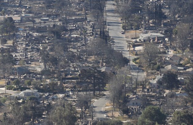 Bairro residencial devastado por incêndio. Escombros de casas e árvores carbonizadas. Algumas casas permanecem.
