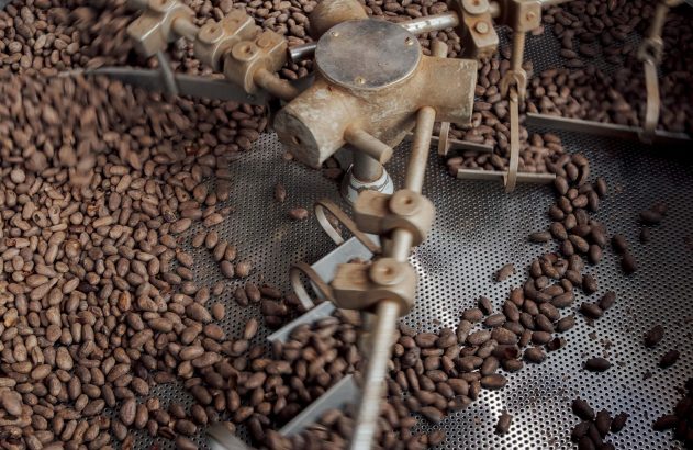 Grãos de cacau sendo agitados por braços mecânicos em máquina de processamento com base perfurada.
