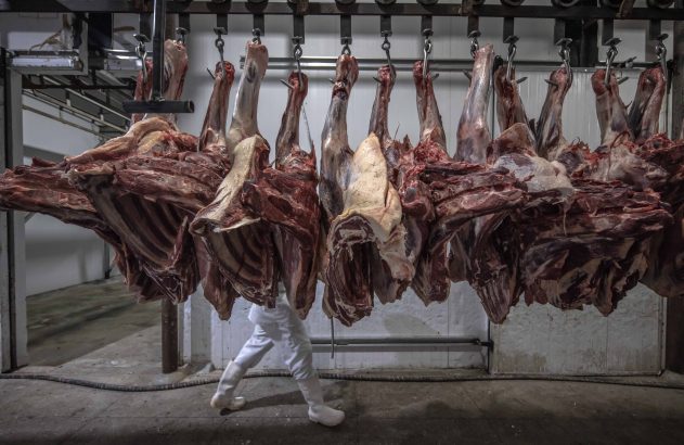Carcaças de carne penduradas em ganchos. Pessoa de branco caminha por baixo, em frigorífico.