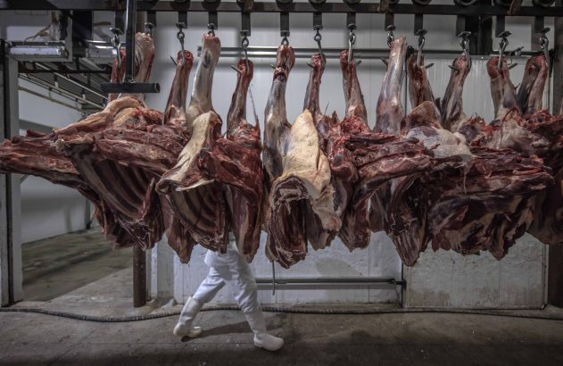 Carcaças de carne penduradas em ganchos. Pessoa de branco caminha por baixo, em frigorífico.