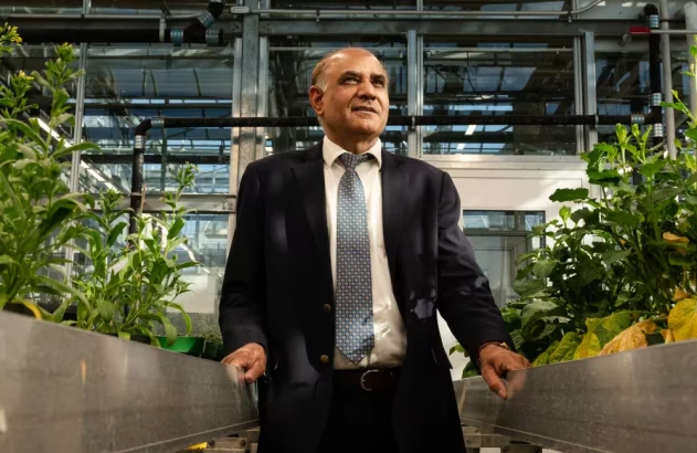 Homem de terno em estufa, entre canteiros de metal com plantas, olhando para o alto.